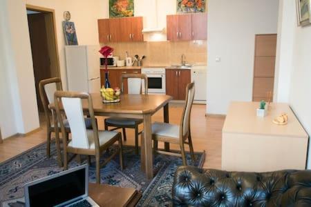 Town Hall 3 Bedroom Apartment VNO Exterior foto