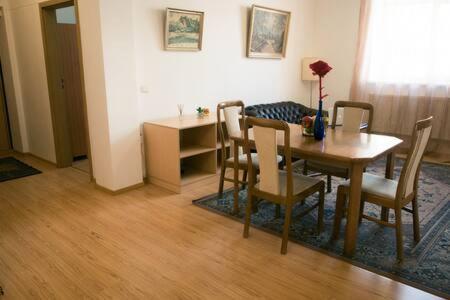 Town Hall 3 Bedroom Apartment VNO Exterior foto